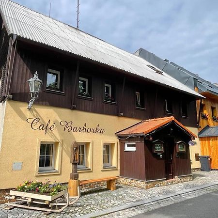 Pension Barborka Bozi Dar Exterior foto